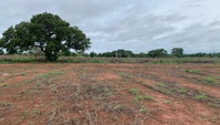 Área de 3.040 m² em Porto Nacional - Jardim América