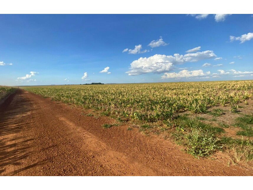 Área Rural em Fazenda Paraíso VIII - Oportunidade Única