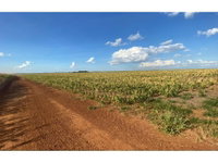 Área Rural em Fazenda Paraíso VIII - Oportunidade Única