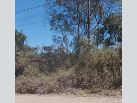 Terreno com 1.342,91 m² em área institucional
