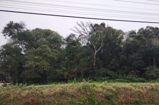 Terreno desmembrado com 2.400m² - Desocupado, pagamento à vista