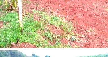 Fração de 92% da Fazenda Aleluia, 44,93 hectares