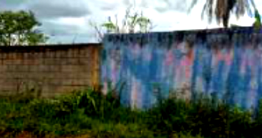 Chácara 12 c/ 10.500m² - 2 quartos, 1 banheiro