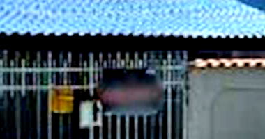 Casa com 2 quartos em São Pedro da Aldeia/RJ