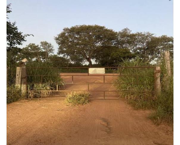 Fazenda com 1.051 ha em Lagoa Grande - MG