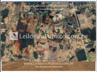Fazenda com 135 ha em Dom Basílio, BA