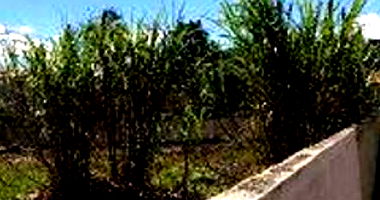 Terreno Urbano com 1.178,44 m² em Presidente Getúlio - SC