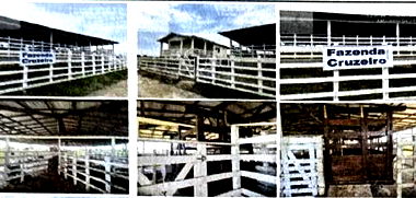 Fazenda Rural de 81 Hectares em Careiro da Várzea