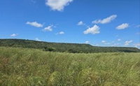 Fazenda de 150 ha com 79 ha consolidados e pastagem