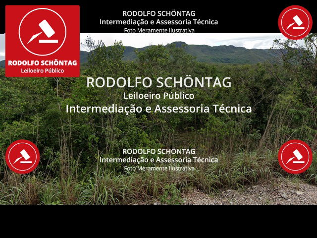 Fazenda Rural 484ha em Cavalcante GO, área ampla para investimento