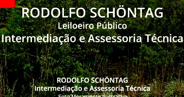 Fazenda Rural 484ha em Cavalcante GO, área ampla para investimento