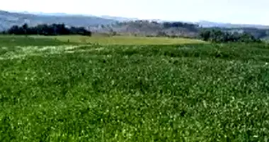 Área Rural em Leilão com 12,10ha