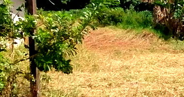 Terreno em Mariluz/PR com 225m²