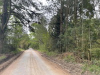 Haras Truc - Imóvel Rural com 128.260 m² em Tijucas do Sul