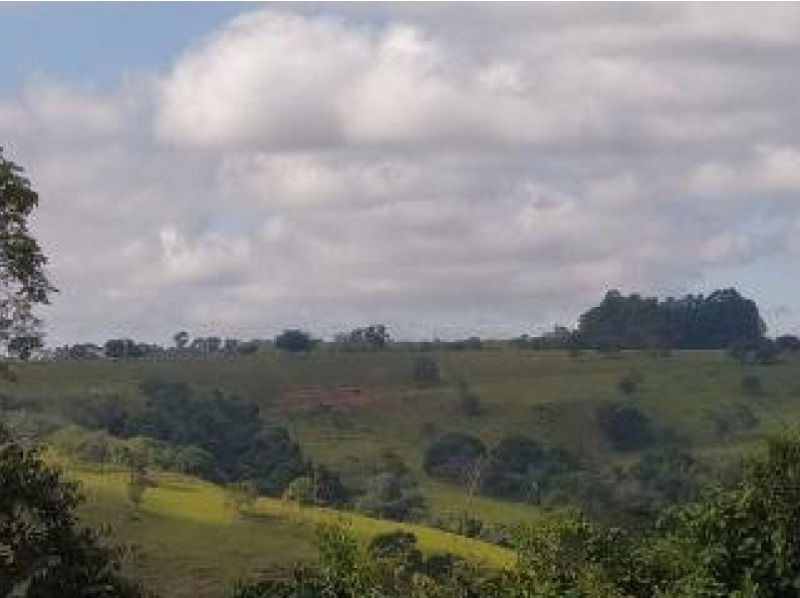 Fazenda Retiro da Roça e Fazenda das Palmeiras em Lagamar/MG