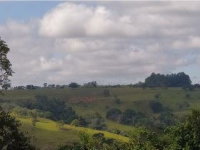 Fazenda Retiro da Roça e Fazenda das Palmeiras em Lagamar/MG