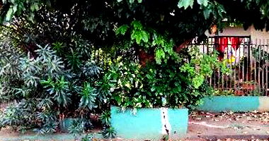 Casa em Paicandu com 2 Quartos e 1 Vaga