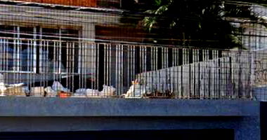 Casa com 320m² em Indianópolis, São Paulo