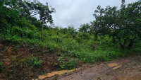Terreno em Lagoa do Carro/PE