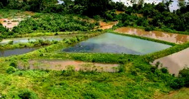 Imóvel Rural com 11,6614 Hectares em Alta Floresta do Oeste/RO