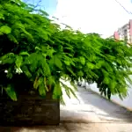 Estacionamento do Hotel Del Canto em Aracaju/SE