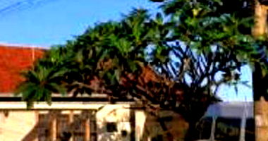 Casa Ocupada com 360m² de Terreno e 228m² Construídos