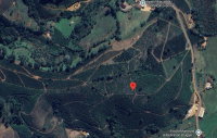 Terreno Rural com Café em Simonésia/MG