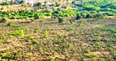 Imóvel Rural com 55 Hectares em Nova Andradina - MS