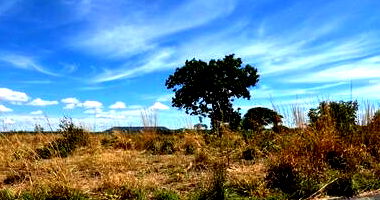 Terreno Público com 8.975 m² em Posse/GO