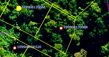 Terreno com 4.961 m² em Ilhabela/SP