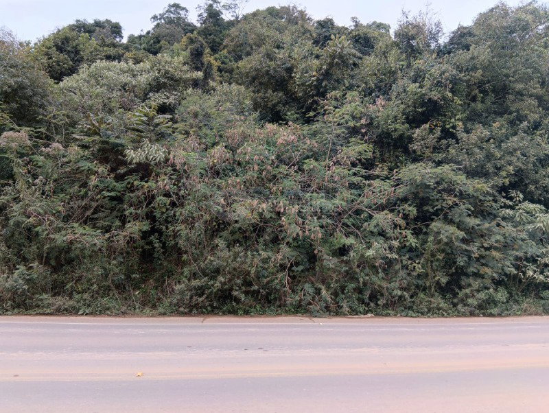Terreno urbano de 6.052m² em Panambi/RS - Oportunidade única!