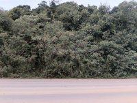 Terreno urbano de 6.052m² em Panambi/RS - Oportunidade única!