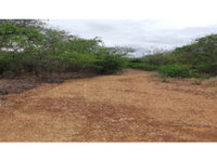 Área Rural com 200,16ha, ocupada, ideal para investimento