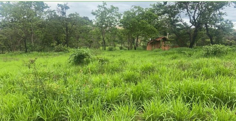 Chácara com 5.187,50 m² em Caldas Novas