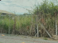Terreno 300m² em Bombinhas - SC