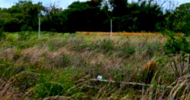 4 Terrenos em Fortaleza com 165.731,08m²