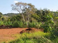 Terreno Urbano com 993,58m² em Dois Vizinhos-PR