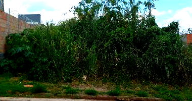 Terreno em Uberaba - Oportunidade Única