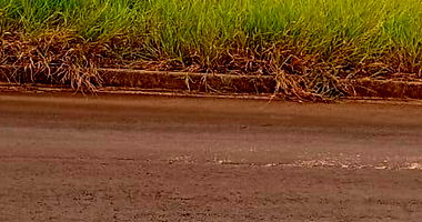 Lote de Terreno Urbano em Terra Roxa - PR