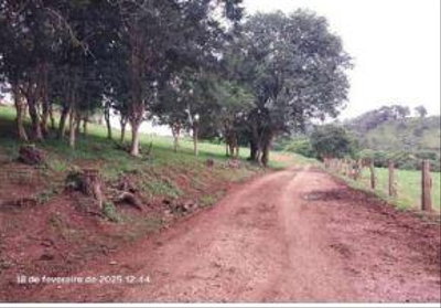 Parte rural de 145.200 m² com casa de madeira