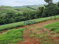 Parte ideal de terreno rural com 121.000m², área georreferenciada