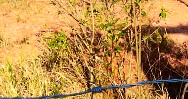 Terreno Amplo em Barbacena - MG