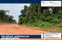 Fazenda São João VII - 242ha - Imóvel Rural em Brasnorte/MT