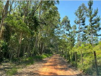 Sítio com 5 Alqueires em Biritiba Mirim