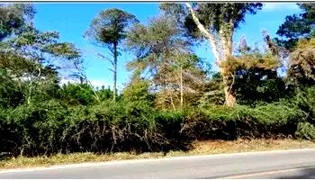 Terreno em União da Vitória com 35.008,84m²