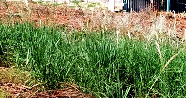 Terreno urbano 410m² desocupado com matrícula e IPTU em dia
