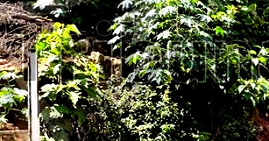 Terreno em São Paulo com 456m²