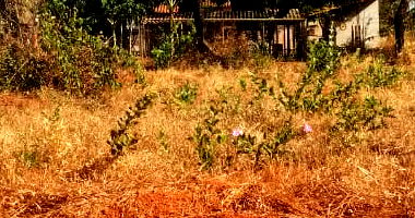 Lote em Condomínio com 1006m² em Jaboticatubas/MG