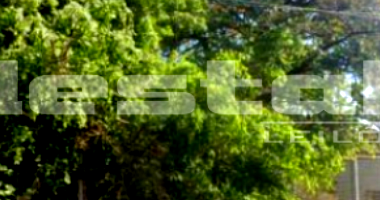 Terreno Industrial com Prédio em Americana/SP