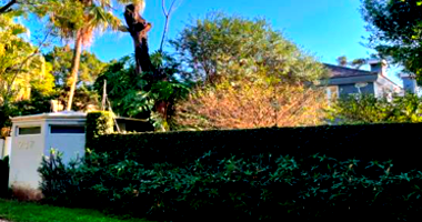 Casa em São Leopoldo com 617m² construída e terreno de 1456m²